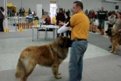 051_nvp_nitra-11