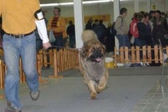 051_nvp_nitra-2
