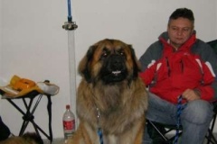 051_nvp_nitra-4
