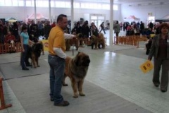 051_nvp_nitra-7