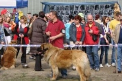 052_nvp_ostrava-1
