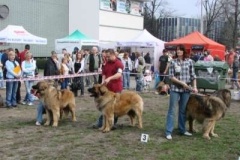 052_nvp_ostrava-2