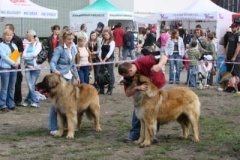 052_nvp_ostrava-3