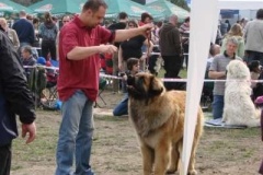 052_nvp_ostrava-4