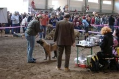 054_gwen_kv_svojetice-2