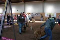 054_gwen_kv_svojetice-5