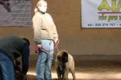 054_gwen_kv_svojetice-6