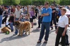055_mvp_ceske_budejovice-1