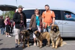055_mvp_ceske_budejovice-2