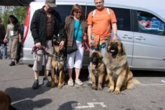 055_mvp_ceske_budejovice-3