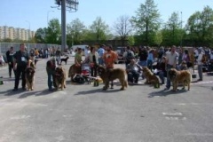 055_mvp_ceske_budejovice-4