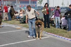 055_mvp_ceske_budejovice-5