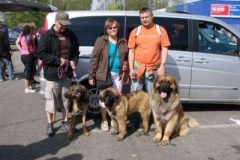 055_mvp_ceske_budejovice-6