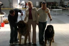 056_mvp_praha_letnany-2