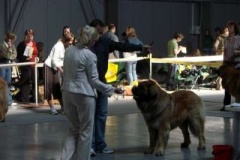 056_mvp_praha_letnany-3