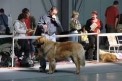 056_mvp_praha_letnany-4