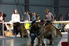 056_mvp_praha_letnany-5