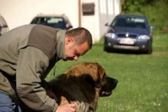 057_klubovy_sraz_chovatelu_psu_leonbergeru-10