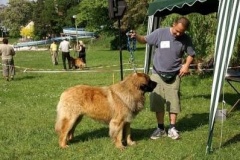 057_klubovy_sraz_chovatelu_psu_leonbergeru-11