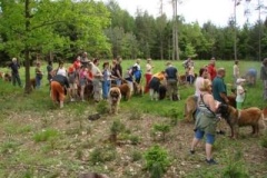 057_klubovy_sraz_chovatelu_psu_leonbergeru-12
