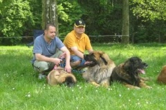 057_klubovy_sraz_chovatelu_psu_leonbergeru-13