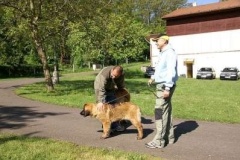 057_klubovy_sraz_chovatelu_psu_leonbergeru-15