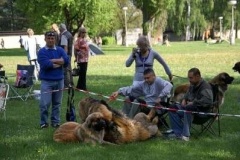 057_klubovy_sraz_chovatelu_psu_leonbergeru-17