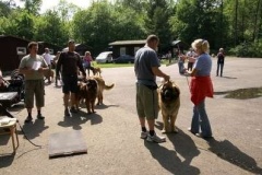 057_klubovy_sraz_chovatelu_psu_leonbergeru-18
