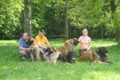 057_klubovy_sraz_chovatelu_psu_leonbergeru-19