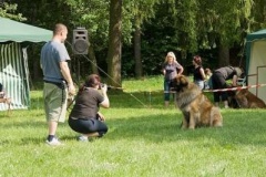 057_klubovy_sraz_chovatelu_psu_leonbergeru-22