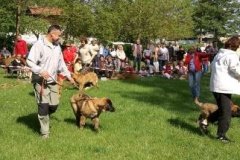 057_klubovy_sraz_chovatelu_psu_leonbergeru-26