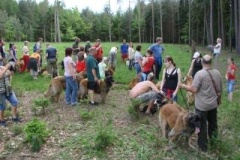 057_klubovy_sraz_chovatelu_psu_leonbergeru-3