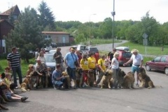 057_klubovy_sraz_chovatelu_psu_leonbergeru-33