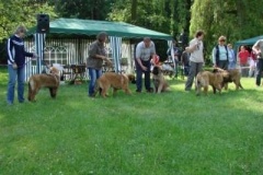 057_klubovy_sraz_chovatelu_psu_leonbergeru-34