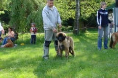 057_klubovy_sraz_chovatelu_psu_leonbergeru-39