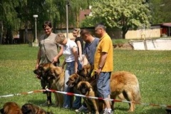 057_klubovy_sraz_chovatelu_psu_leonbergeru-41