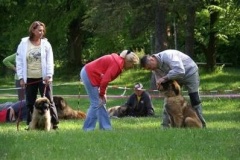057_klubovy_sraz_chovatelu_psu_leonbergeru-44