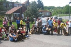 057_klubovy_sraz_chovatelu_psu_leonbergeru-46