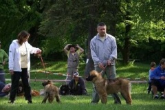 057_klubovy_sraz_chovatelu_psu_leonbergeru-48