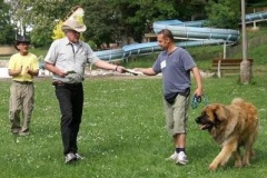 057_klubovy_sraz_chovatelu_psu_leonbergeru-50