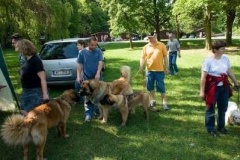 057_klubovy_sraz_chovatelu_psu_leonbergeru-58