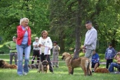 057_klubovy_sraz_chovatelu_psu_leonbergeru-6