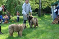 057_klubovy_sraz_chovatelu_psu_leonbergeru-62
