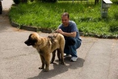 057_klubovy_sraz_chovatelu_psu_leonbergeru-66