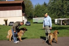 057_klubovy_sraz_chovatelu_psu_leonbergeru-8