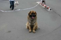 058_krajska_vp_zlin-6