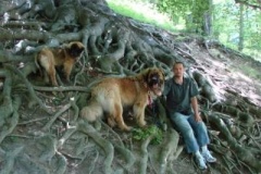 059_hrad_hukvaldy-21