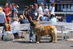 060_mvp_litomerice-1