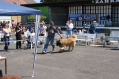 060_mvp_litomerice-11