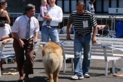060_mvp_litomerice-12